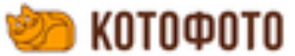 Kotofoto
